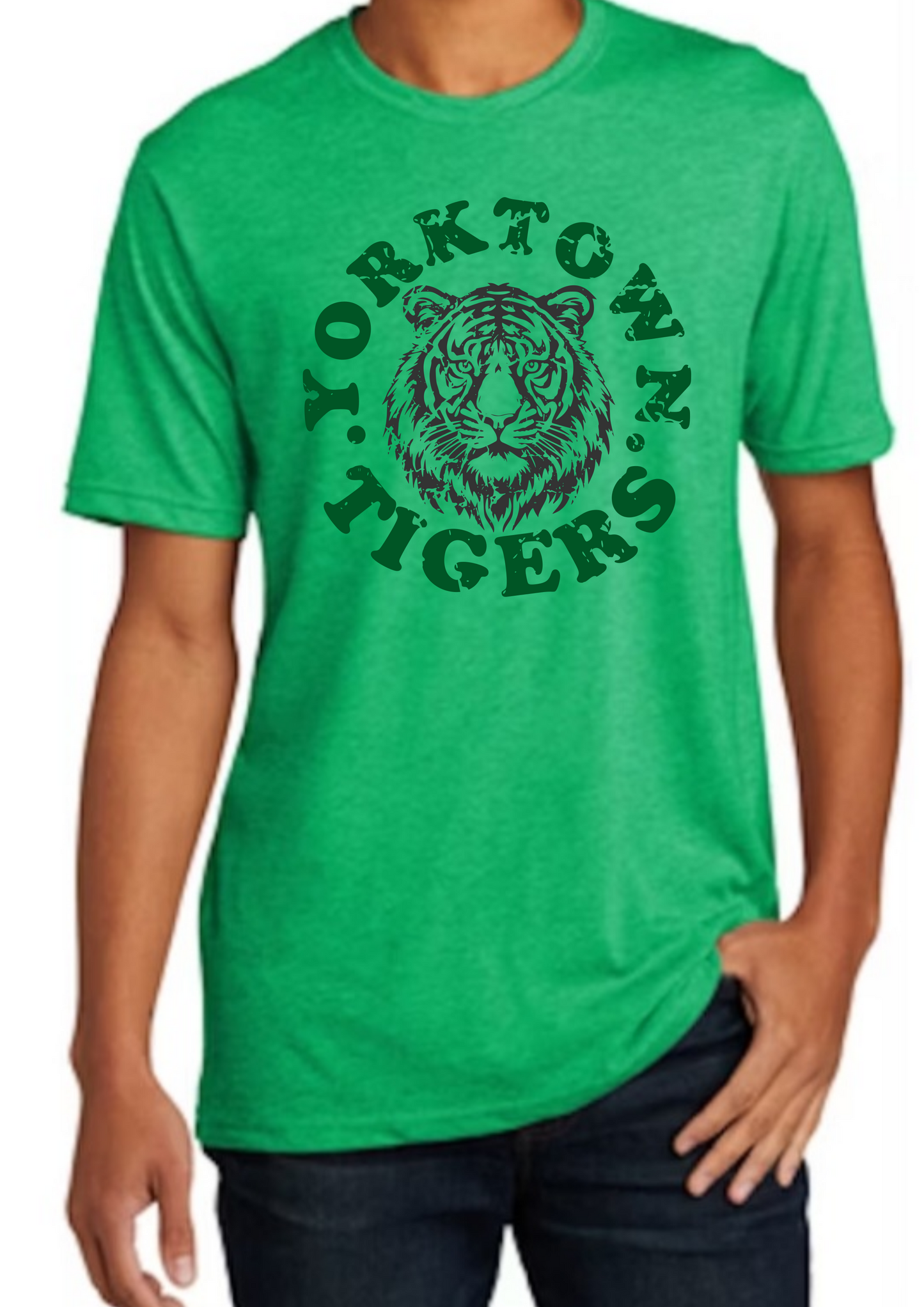 School Mascot tshirt