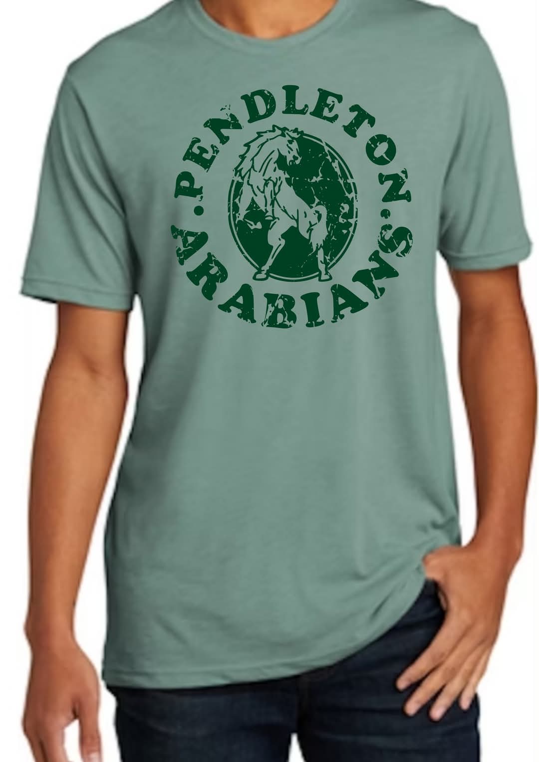 School Mascot tshirt