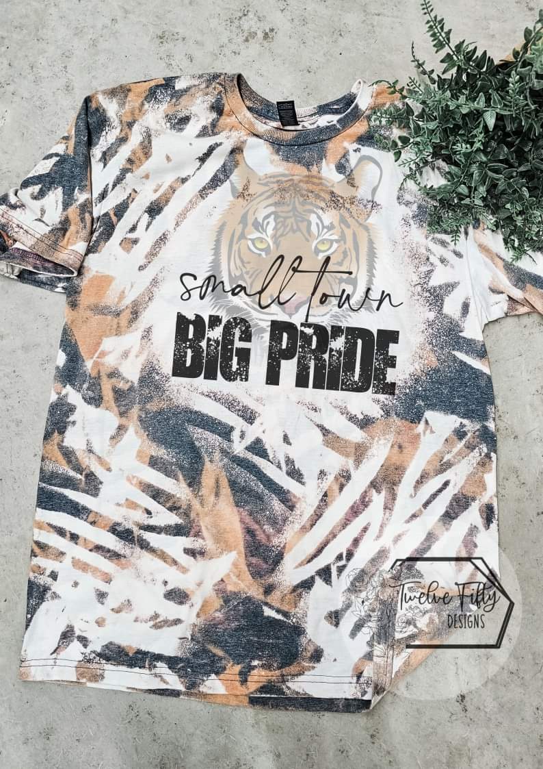 Small Town Big Pride