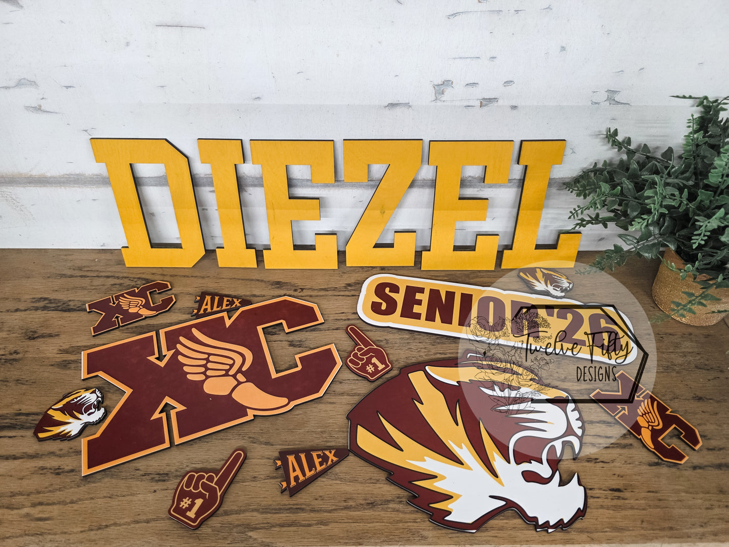 Custom Senior Night Decoration Pieces - Individual Items (Please Read Description for Details)