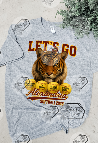 Softball 4 championship 2025 tshirt
